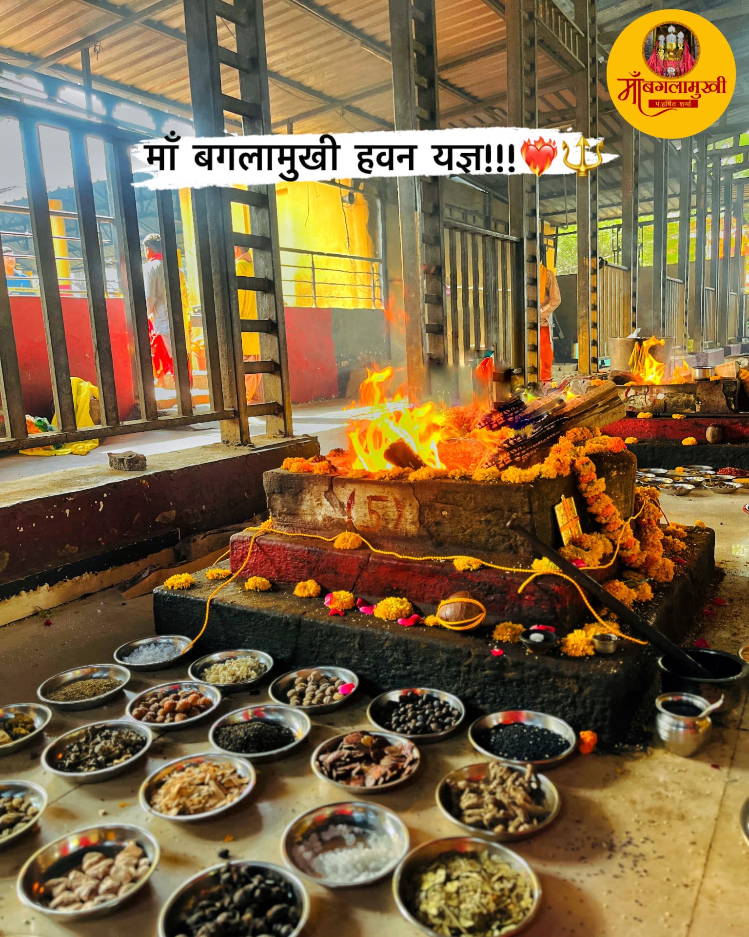 विशेष हवन के लिए वैदिक हवन